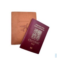 Ko�en� pouzdro na pas 80065 cognac, HJP