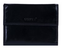 Dmsk penenka koen ern 6033, Conti