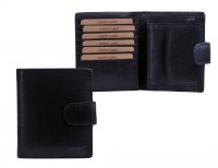 P�nsk� velk� ko�en� pen�enka V-84 �ern�, Lagen