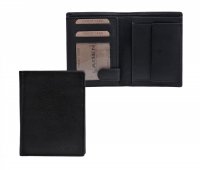 P�nsk� ko�en� pen�enka 2103-E �ern�, Lagen