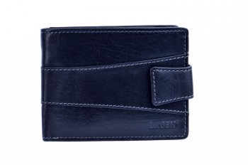 Pnsk koen penenka v-98/T ern, Lagen