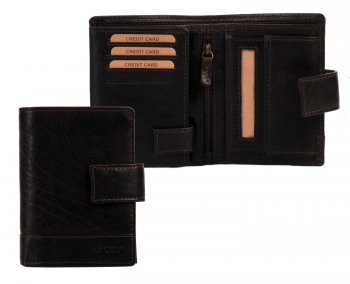 Pnsk koen penenka V-27/T tmav hnd, Lagen