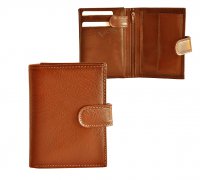 ko�en� p�nsk� pen�enka sv�tle hn�d� P-1204, HELLIX